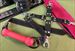 Cuff, Gag, Blindfold, Hogtie Set - FREE SHIPPING - Awesome and only $79.99